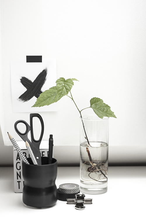 Bố trí góc làm việc hợp phong thủy với cảm hứng mùa hè 1 phong thủy xấu