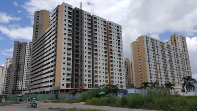 Mảng xanh dự án