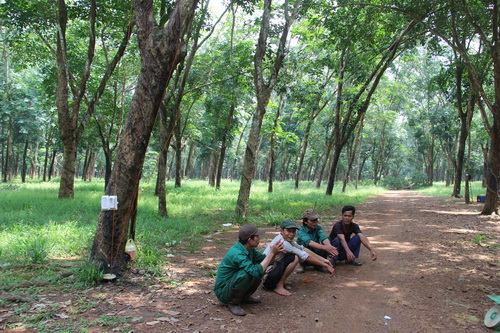 giải phóng mặt bằng