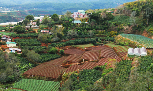bất động sản nông trại