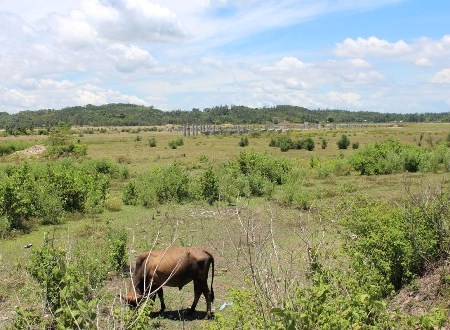 Đầu tư 2,5 tỷ USD xây nhà máy thép