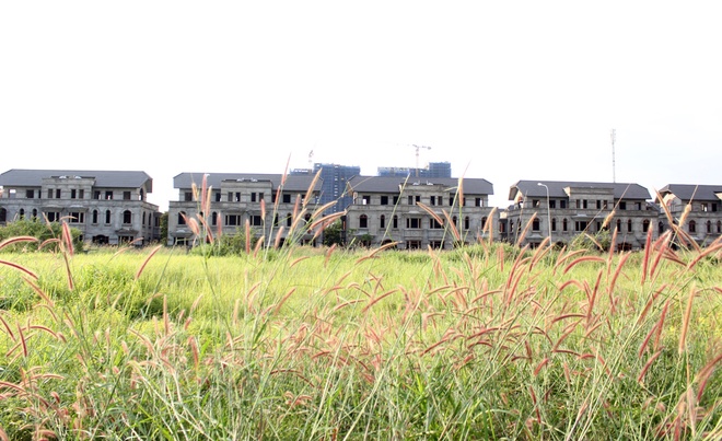 biệt thự hoang