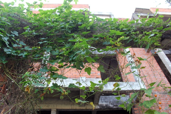 khu dân cư thạnh mỹ lợi