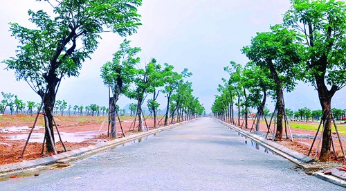 Giá đất nền tại Đà Nẵng tăng mạnh