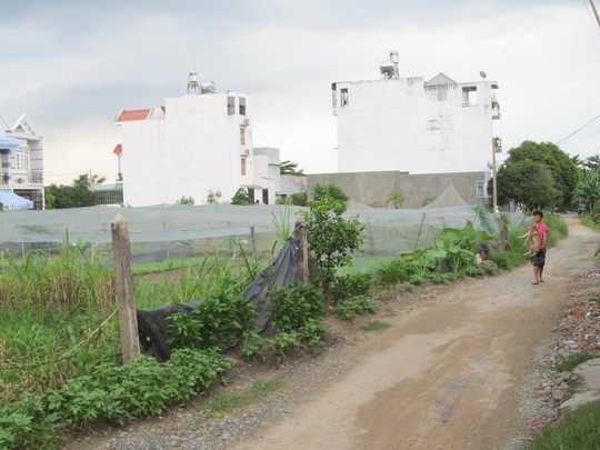 dự án chậm tiến độ