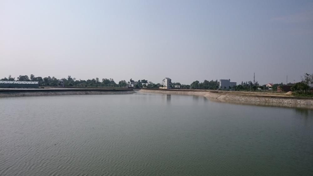 dự án mở bán mới