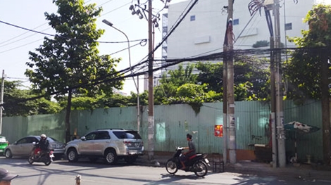 đất vàng bỏ hoang