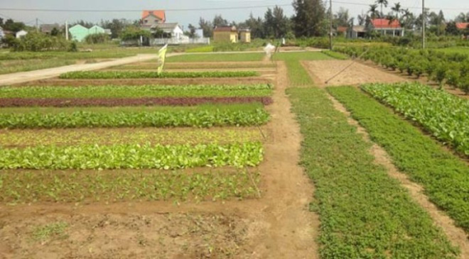 dự án bất động sản