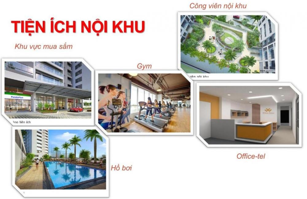 dự án căn hộ mới