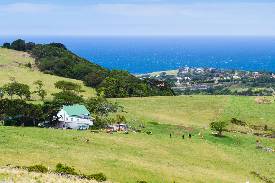 Tư vấn xin giáy phép xây dựng nhà tạm trên đất nông nghiệp